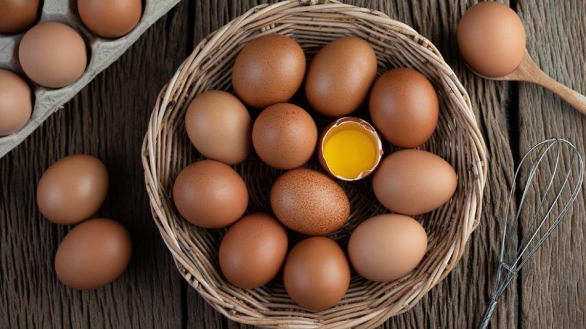 Proteínas Del Huevo Todo Lo Que Debes Saber De Este Alimento Productos Herbalife 0152